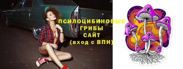 соль курить ск Верея