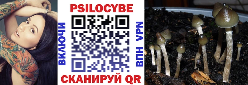 Купить  Мещовск  Псилоцибиновые грибы Psilocybine cubensis 